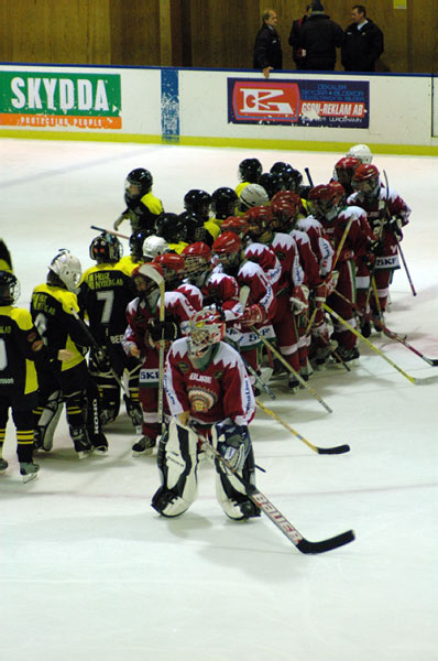 DSC_0060_edited-1