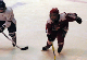 DSC_0193_edited-1